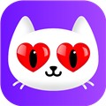 黄金网站app手机版