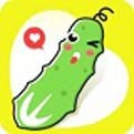 tom影院永久入口版app
