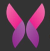 最美情侣2019全集免费观看中文版