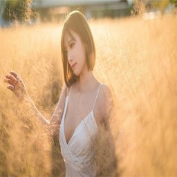 榴莲视频app下载：探索全新娱乐体验，轻松畅享精彩内容